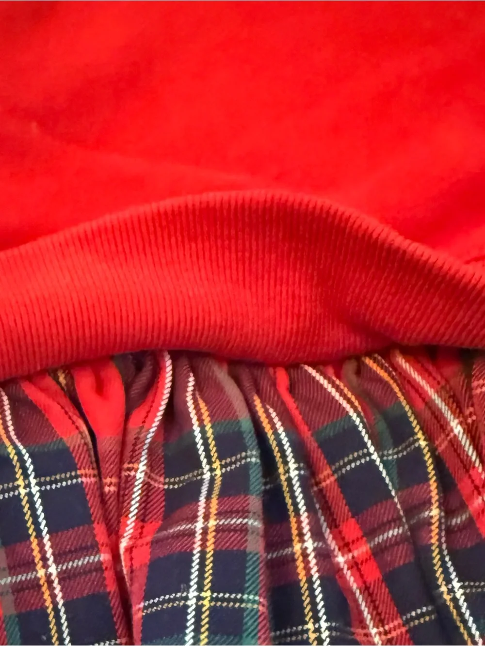Polo by Ralph Lauren Red Kids Hooded Sweatshirt with Navy Pony